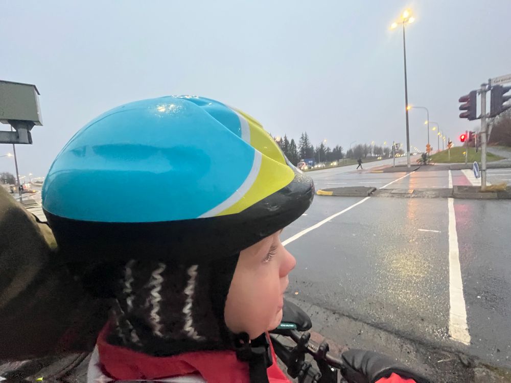 litli Daði vísar fram og stýrir eigin stýri