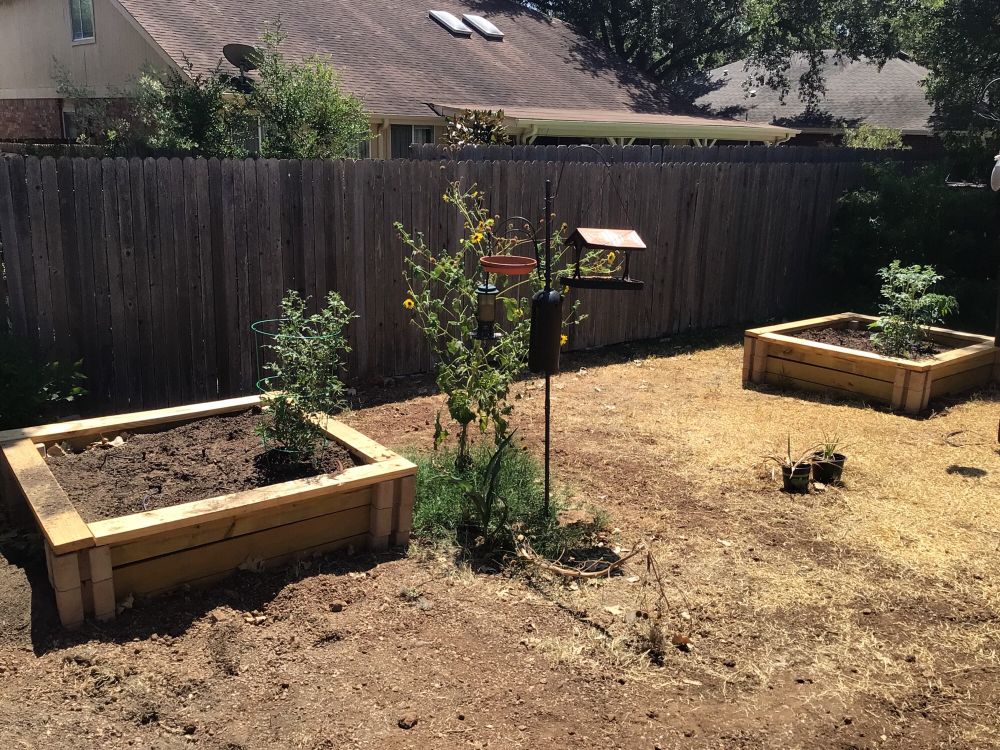 Backyard with flower beds and dead grass.