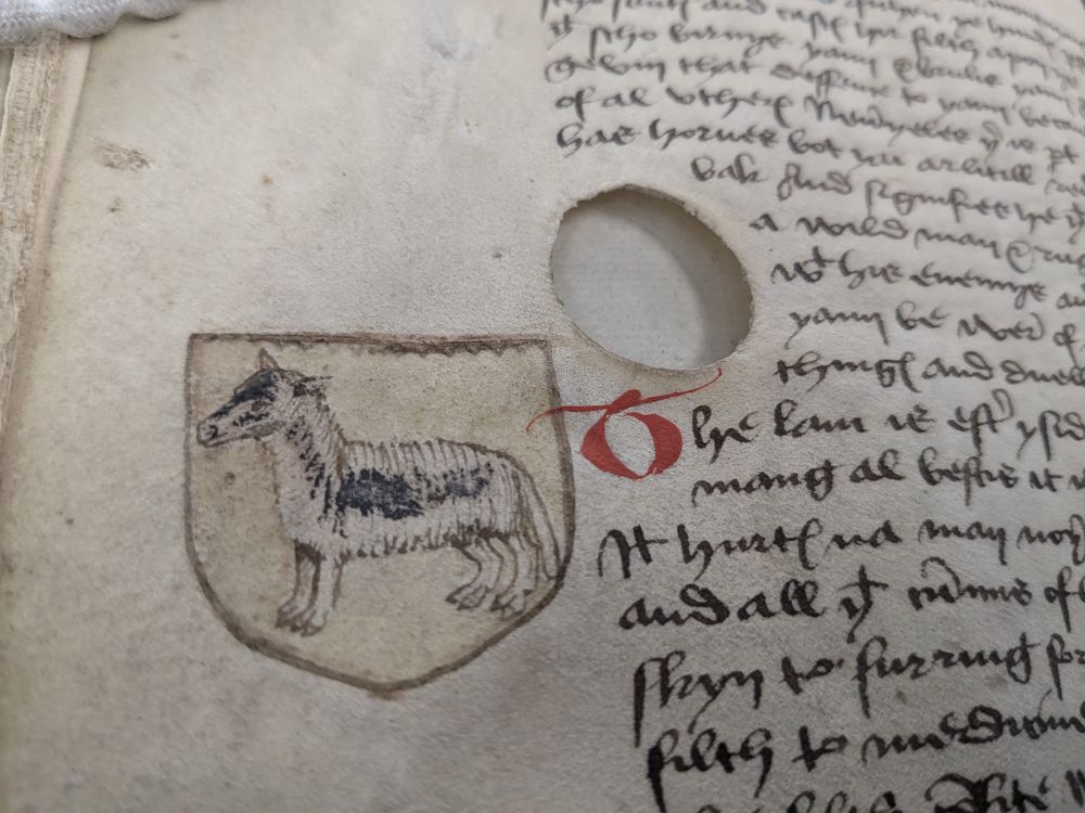 image of a sheep in a coat of arms next to a hole in the parchment