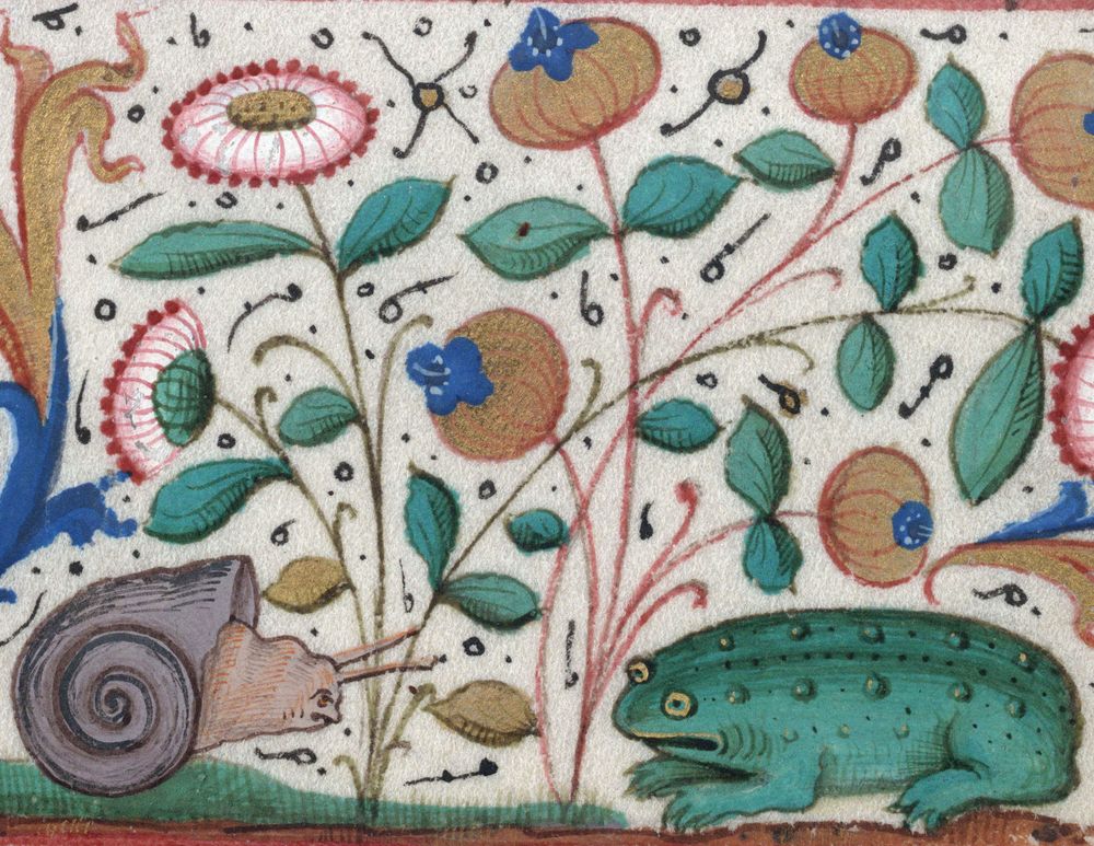 A frog meeting a snail in the margins of a manuscript
