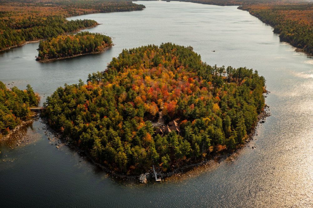 Winding Road Through Fall Forest: Top-down drone shot of a winding road cutting through a dense forest filled with golden, red, and orange autumn leaves at peak fall color.