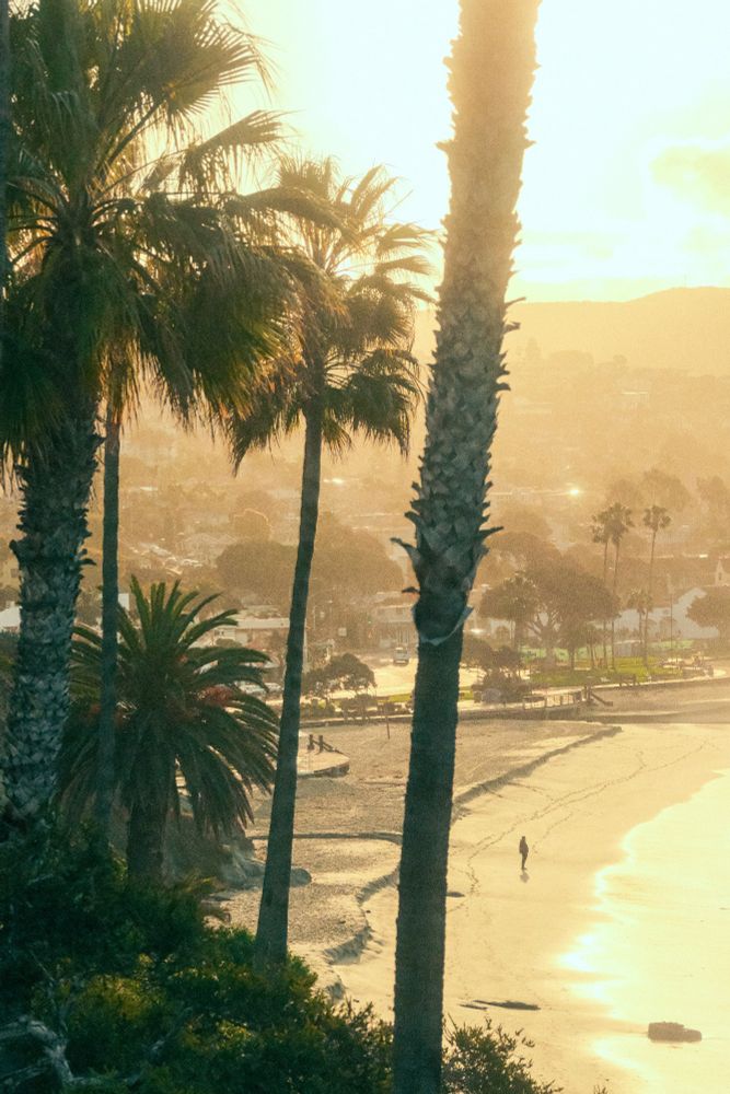 Golden sunlight filters through towering palm trees overlooking Laguna Beach at sunset. A lone figure walks along the shoreline, leaving footprints in the wet sand as the warm glow blankets the coastal town in a dreamy haze.