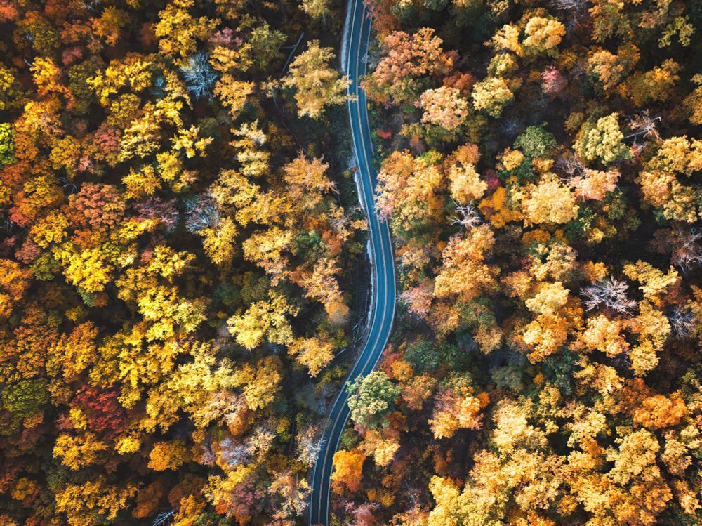 Island with Fall Foliage: Aerial view of a tree-covered island bursting with vibrant autumn colors, surrounded by a tranquil lake in Maine during peak fall foliage season.