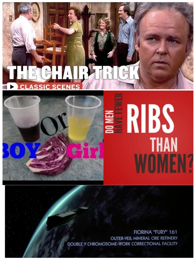 Top: Three youtube thumbnails. One: "All in the Family" clip "The Chair Trick". Two: Two Dixie cups with liquid in them and a slice of red cabbage, text reads "Boy or Girl?". Three: Black and white text on red background: "Do men have fewer ribs than women?".
Below: screencap from Alien 3 of a space view of an Earth like planet with the caption "Fiorina 'Fury' 161 Outer Veil mineral oil refinery, double Y chromosome work correctional facility". I'm not trying to pick on the Alien series it just seemed like most well known example.