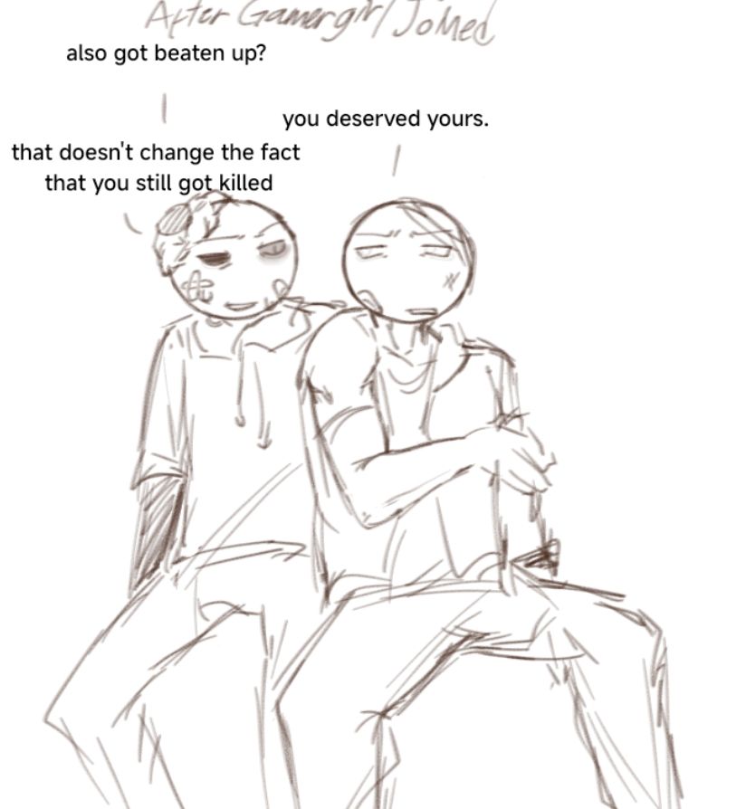 Pro and Hacker arguing