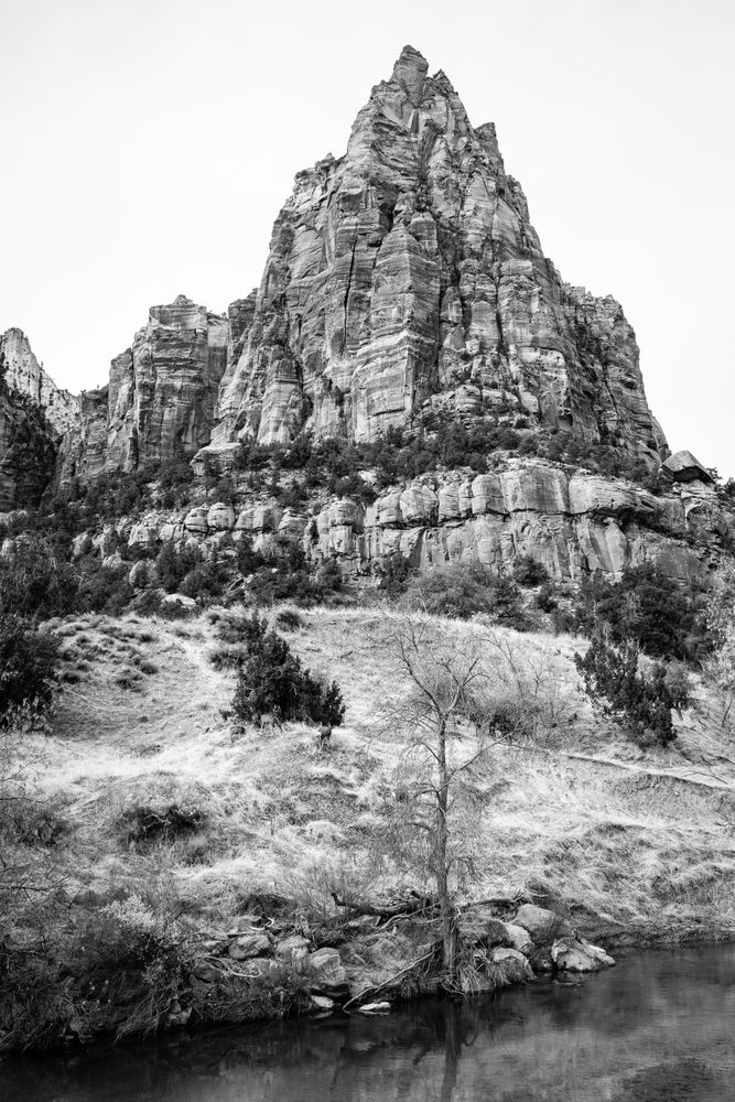 Mount Moroni, at the Court of the Patriarchs. In the foreground, the Virgin River and a grassy hillside, with a small herd of mule deer.