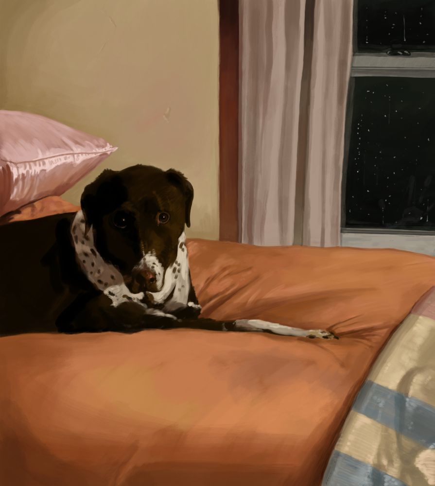 An American gothic style painting of a dog sitting on a bed, with one leg/paw stretched outward. The dog is looking right at the viewer. Most of the dog is in shadow, as light comes in from the right side, off of the canvas. 

There is a window to the right with rain droplets falling down it. The scene is mostly peaceful, but is an unsettling calm. A faint hand print can be seen on the window pane 