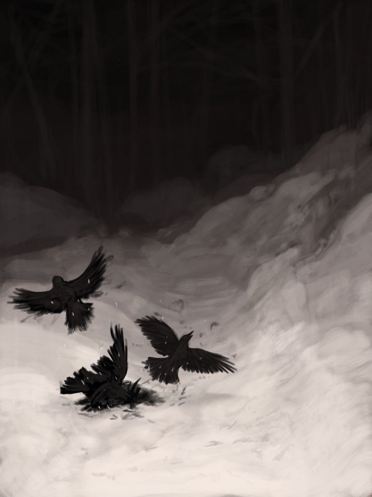 A scene of a snowy forest. Most of the image is the snow on the ground in a clearing with no vegetation. The flash of the camera causes light to fall off quickly. In the middle of the path there are birds scattering. What they were doing before being startled is not quite clear