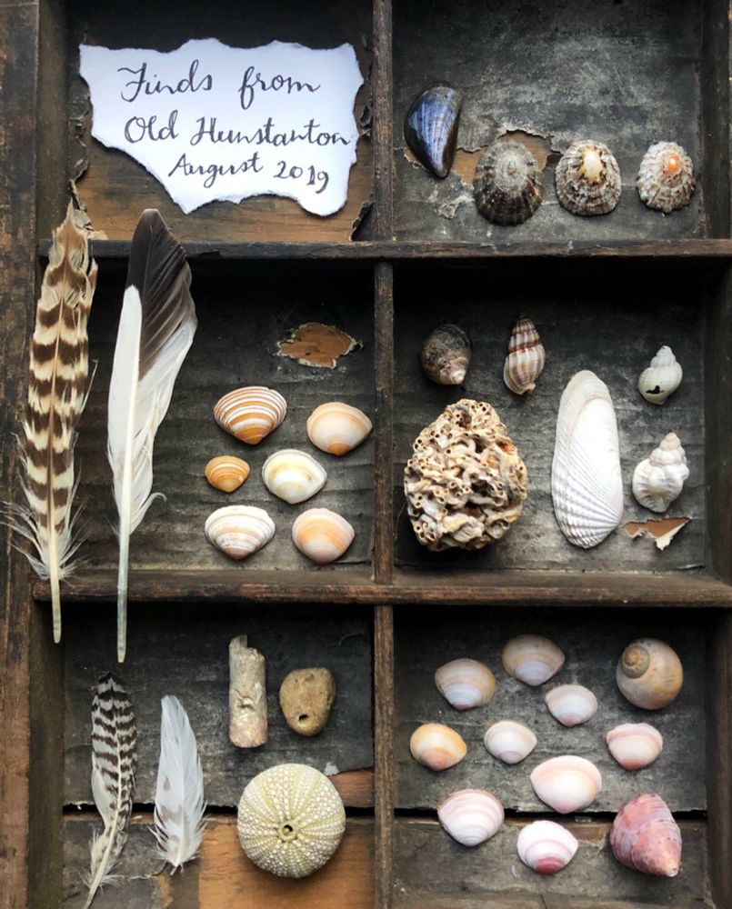 Collection of finds from Old Hunstanton beach made in 2019