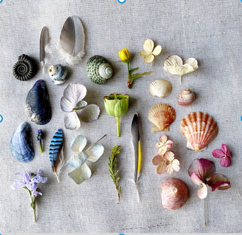 Collection of small spring nature finds