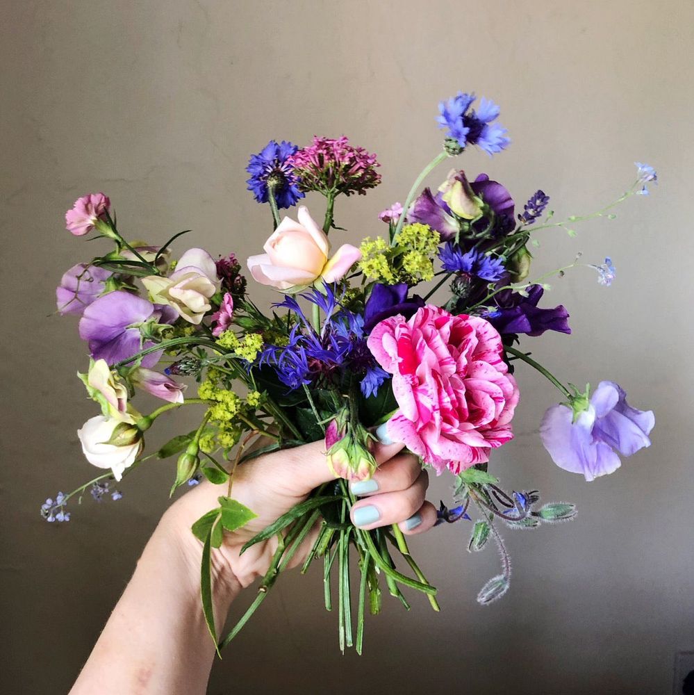 A bunch of flowers I grew in my garden, including roses, sweet peas, cornflowers, borage & forget me nots