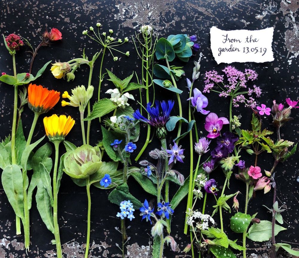 Floral garden finds in May