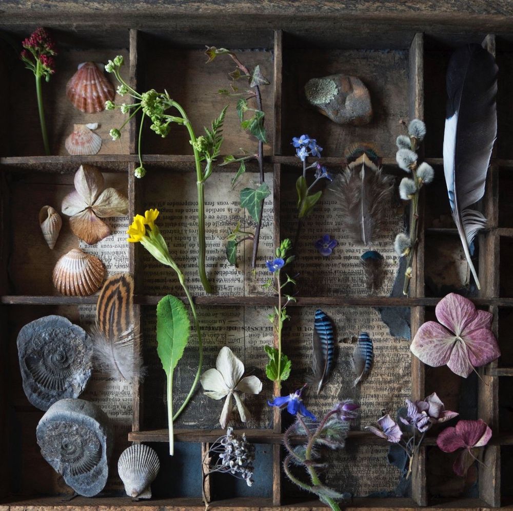 Collection of spring nature finds in antique typesetter's tray