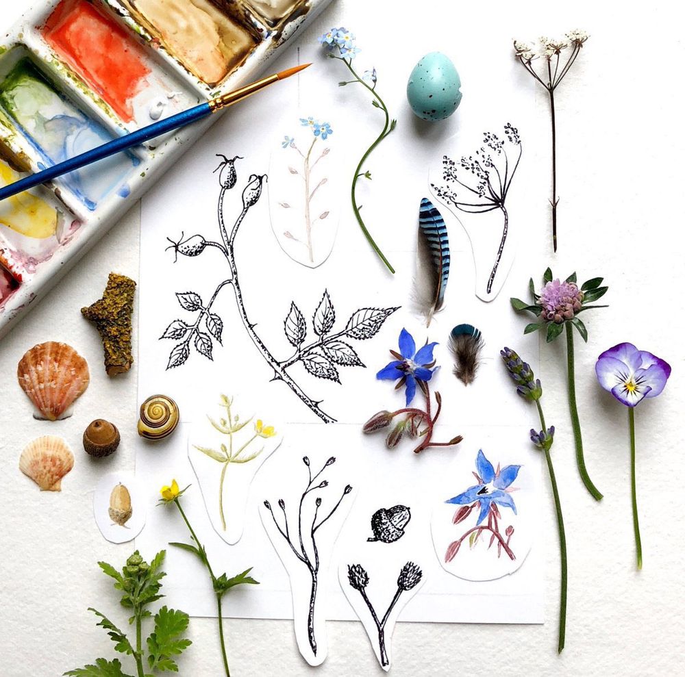 Various spring nature and botanical finds with my pen and ink drawings and watercolours of them on pieces of sketchbook paper. A watercolour palette and fine paintbrush are nearby.