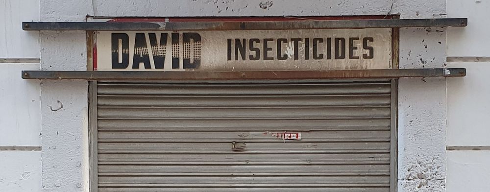 Cartell de un negoci anomenat David Insecticides