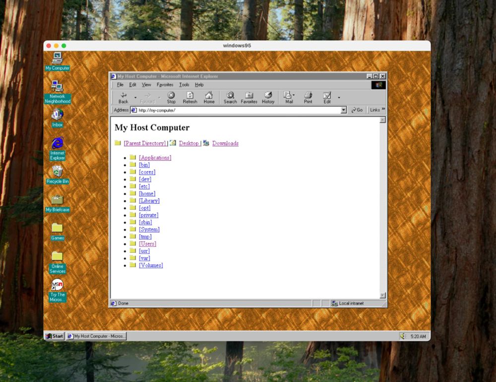 A screenshot of windows95 showing IE 5.5 opened and on the project's "my-computer" page, allowing users to browse the host computer's file system. 