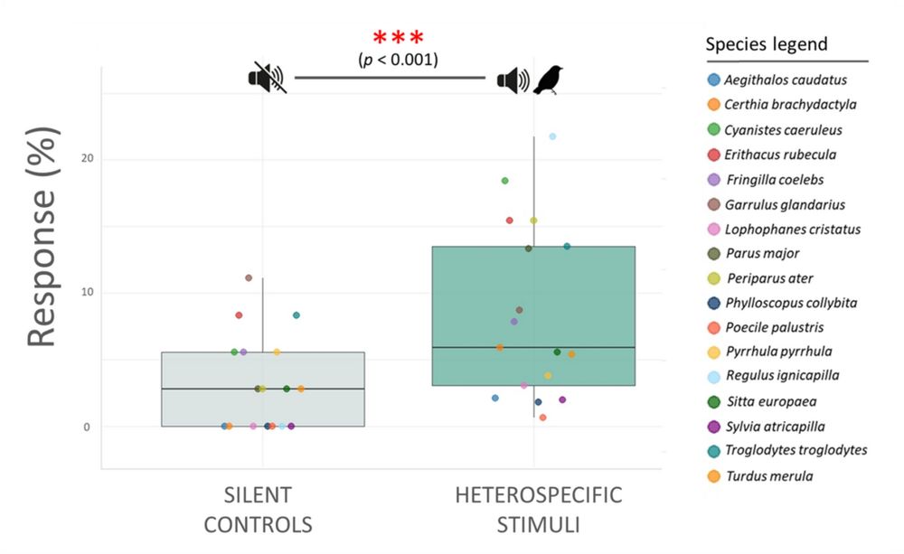 Eavesdropping and contagious alarming in bird communities - Learning & Behavior