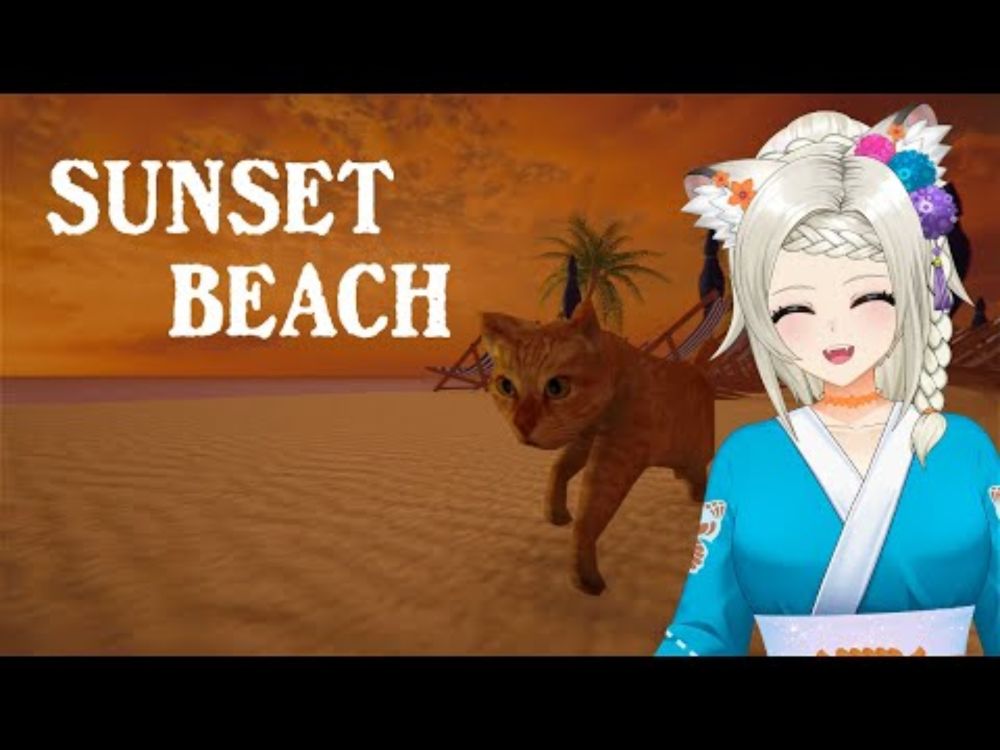 The Cat Is the Only Thing This Beach Has Going for It - Sunset Beach