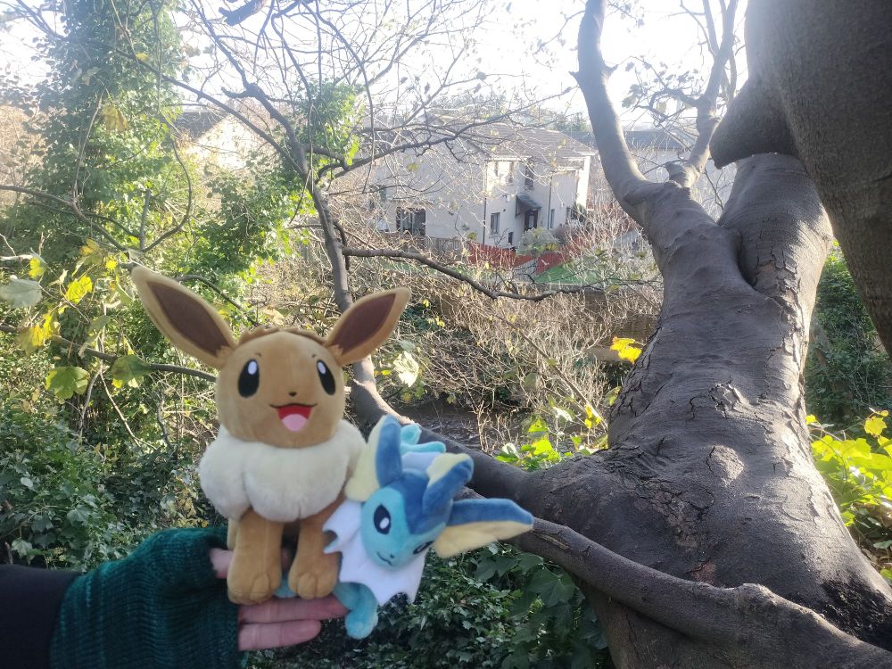 A small stuffed Eevee and smaller Vaporeon being held by a hand in a fingerless glove in front of a chunky tree sticking out over a large patch of ivy that's growing up over a tree in the background to the right. There's a waterway in the background with some newish housing beyond. 