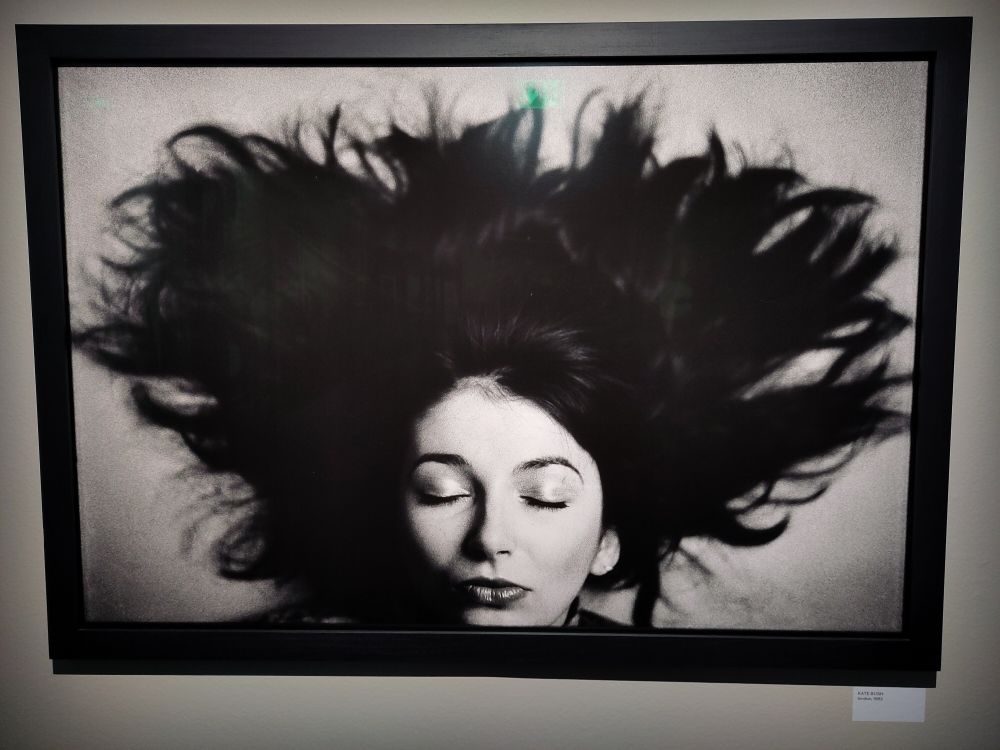 Kate Bush fotograferad i svartvitt av Anton Corbijn. Hon ligger på rygg med håret utspritt i alla riktningar. Hon blundar. Bilden är tagen ovanifrån.