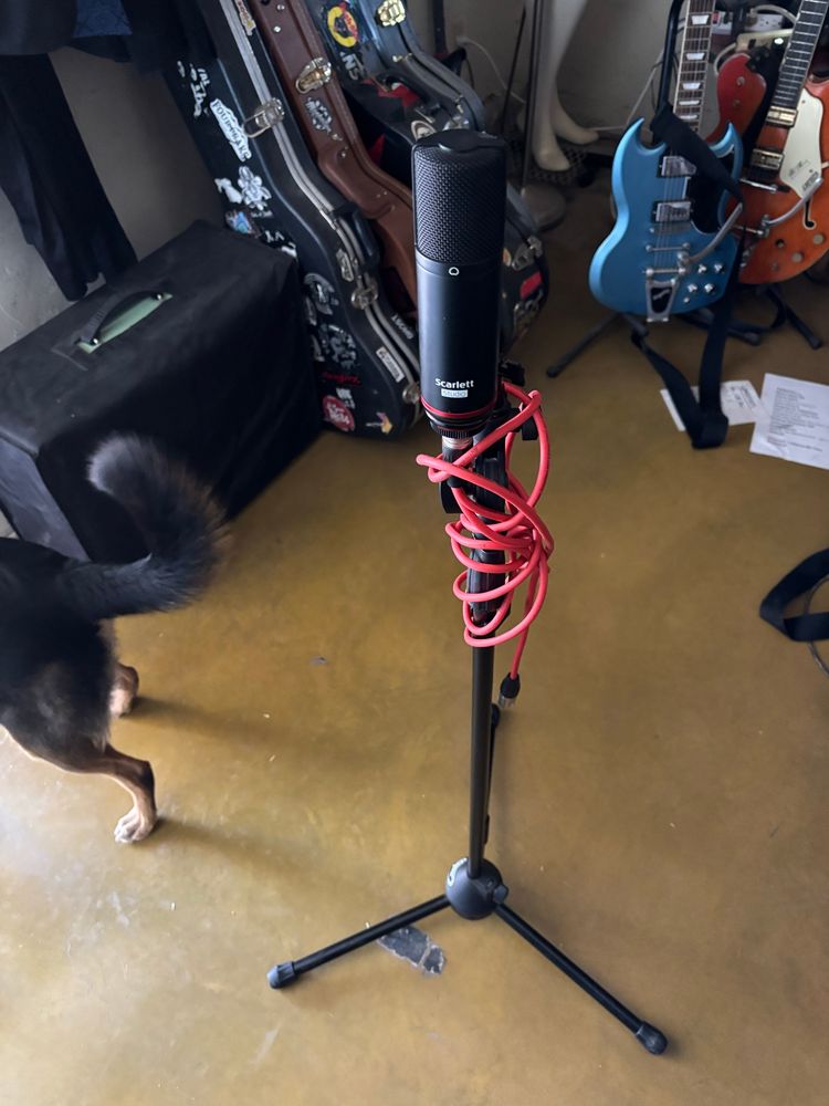 A microphone stands in the middle of a rehearsal space with the cable haphazardly wrapped around the microphone stand. In the background are several guitars; a shiny blue Gibson SG and an orange Gretsch 6120DC Nashville. A dog’s rear end is also visible, tail hoisted upward. 