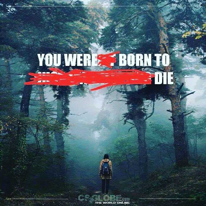 An image that has the words “YOU WERE BORN TO DIE” overlaid.
