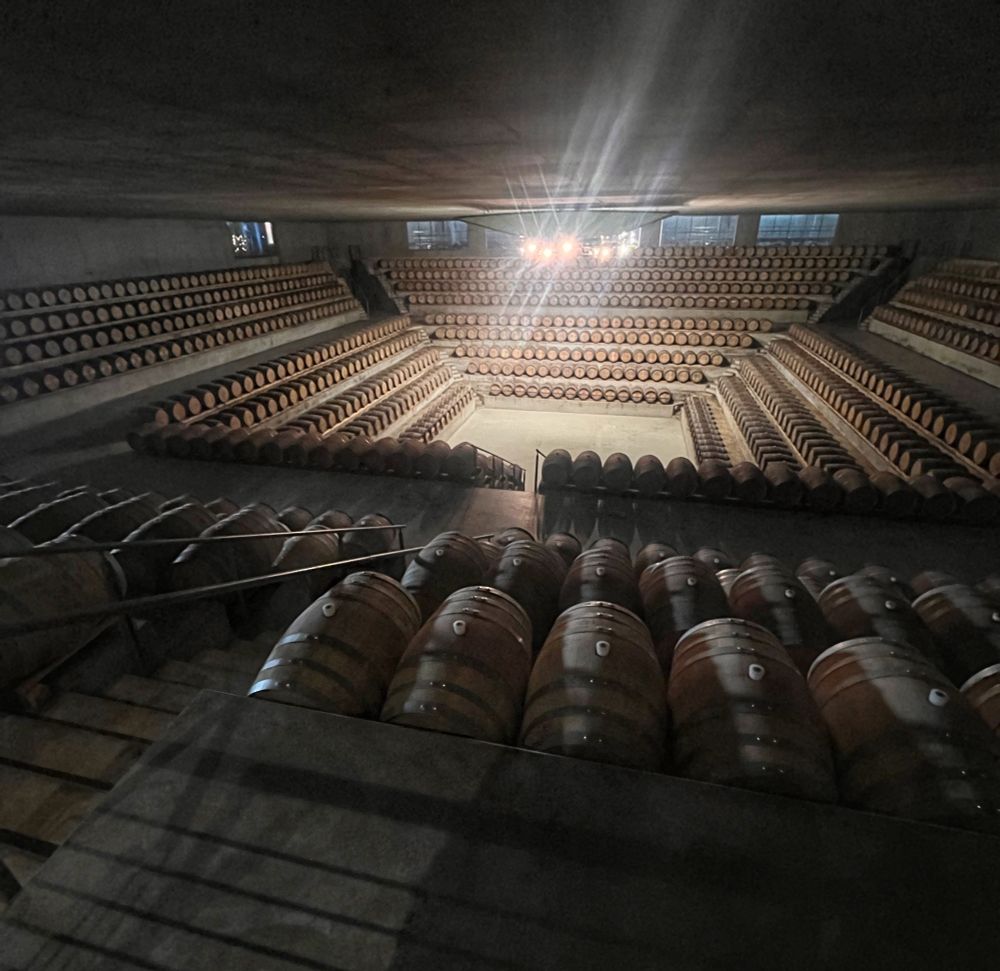 A dramatic, amphitheater-style wine barrel room at Rocca di Frassinello, with rows of oak barrels stacked in symmetrical tiers under soft lighting.