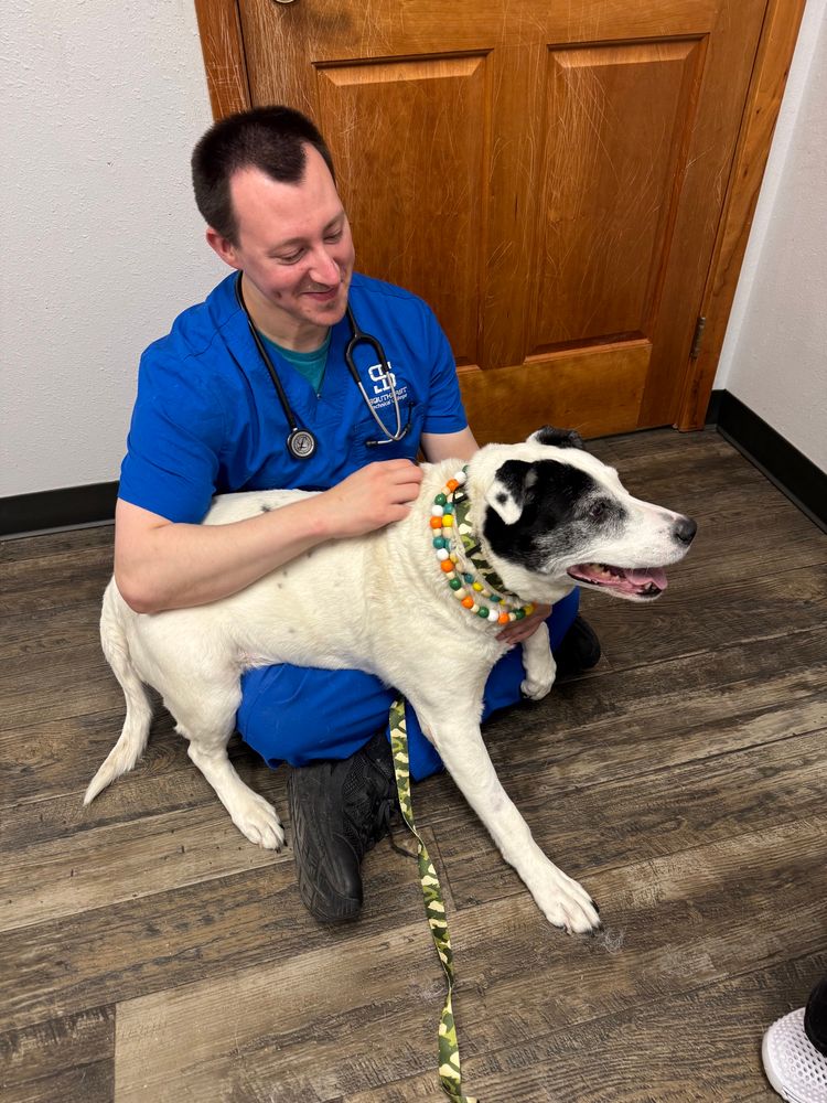 Big 12 year old puppy sits on my lap