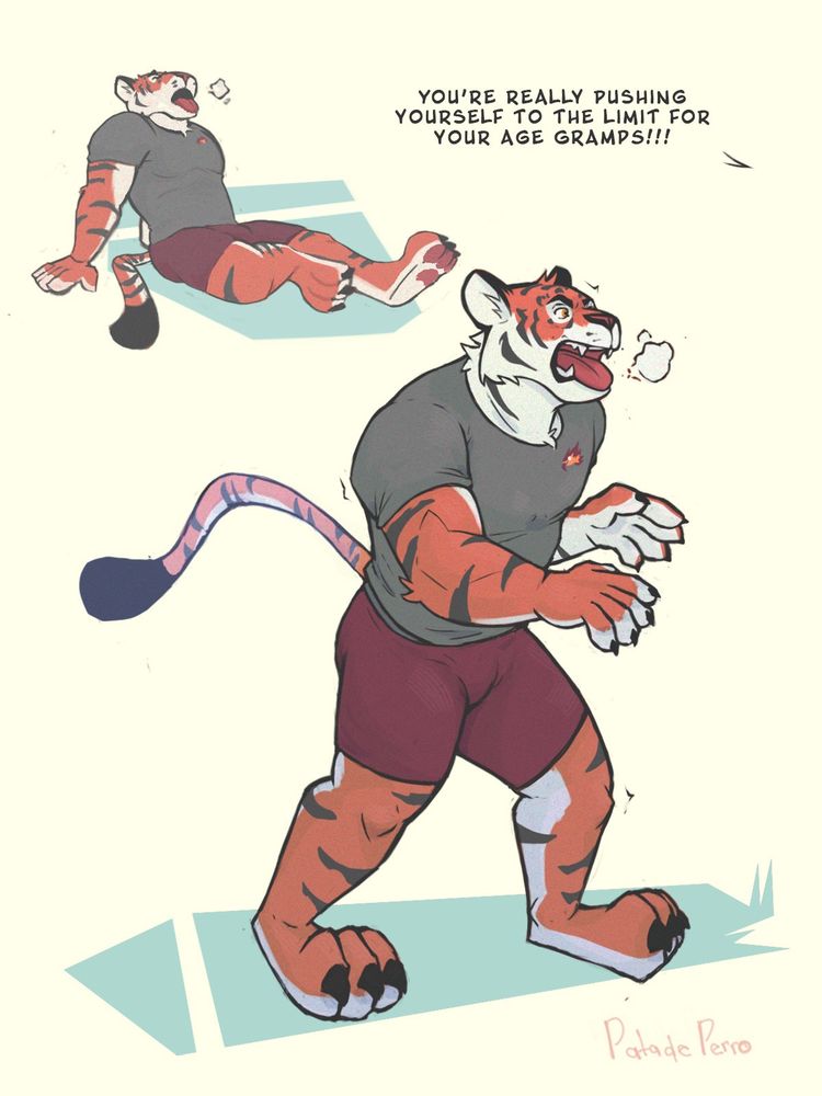 A muscular anthropomorphic tiger, Dev Miski, in a dark t-shirt and maroon shorts is depicted in two poses. In the top-left corner, he’s lying on the ground, panting with exhaustion after a workout. In the main image, he’s standing upright, breathing heavily and visibly tired but determined. A speech bubble reads: “YOU’RE REALLY PUSHING YOURSELF TO THE LIMIT FOR YOUR AGE, GRAMPS!!!”