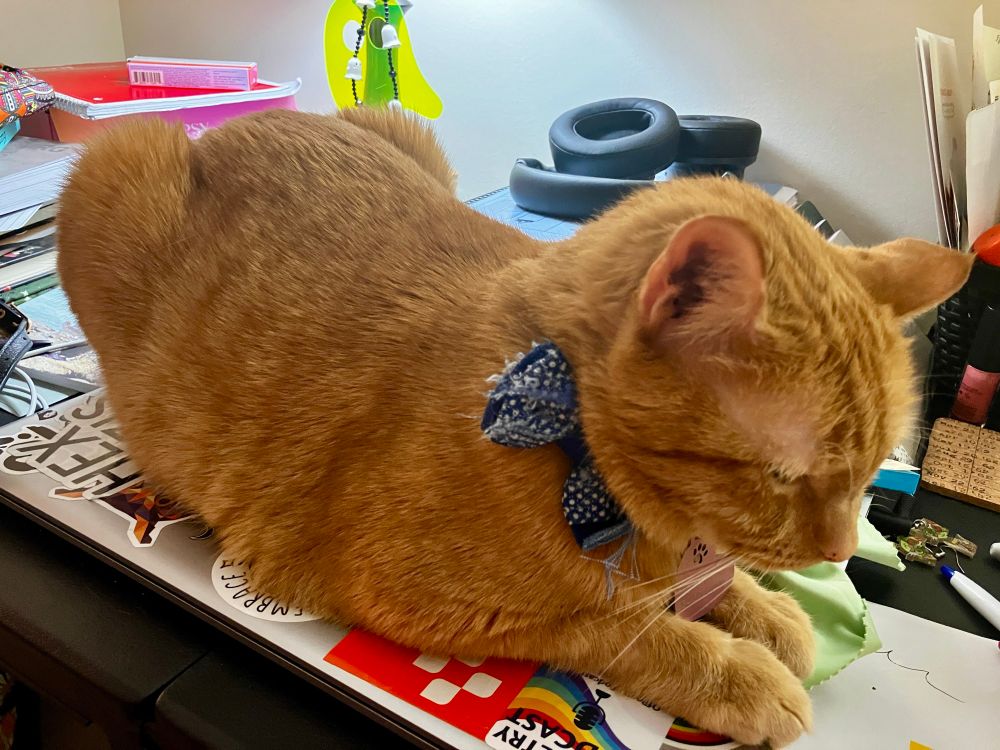 an orange cat loafing on a messy desk