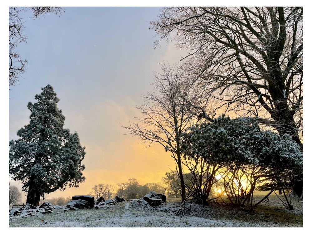 A winter landscape at sunrise, with snow-dusted trees and ground. A large evergreen stands on the left, while leafless trees and snow-covered shrubs fill the right side. The golden sun rises low on the horizon, casting a warm glow through the trees and creating a dramatic contrast with the frosty scene. Scattered dark rocks or logs lie in the foreground. The sky transitions from a cool blue to warm orange tones.