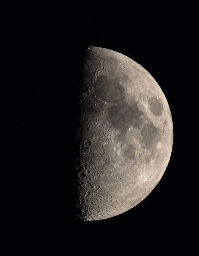 Half moon. Craters visible. 