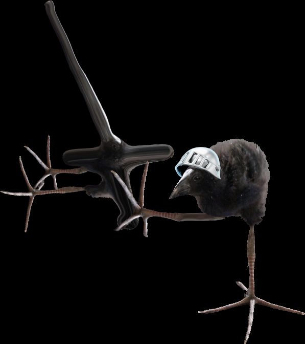 A Pukeko bird with a knight's helmet, holding a morphed Pukeko bird shaped like a sword.