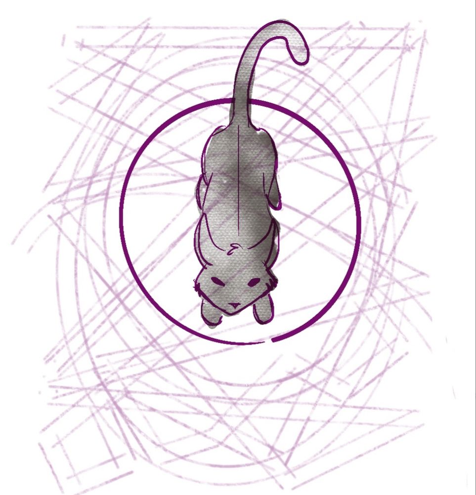 A cat seen from a top view, looks up at the viewer . It is standing on a circular object surrounded by random lines representing the pattern that a Roomba takes a round a room. 