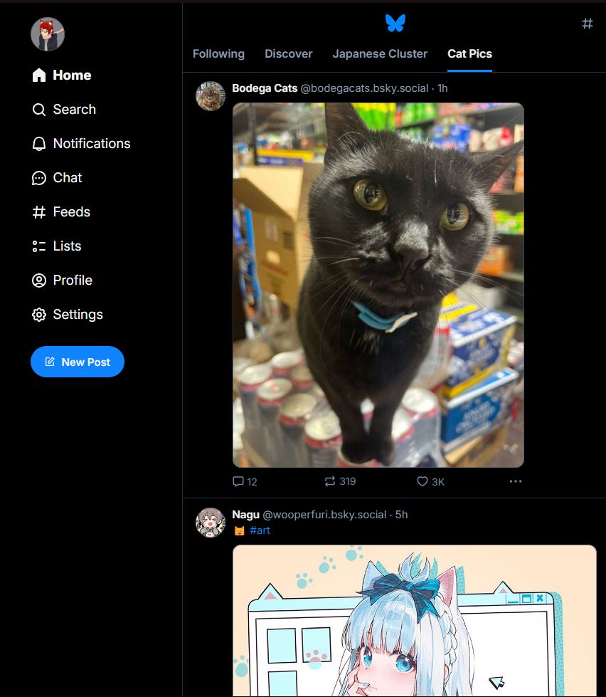 Irumi's feed showing pictures of cats as well as the use of feeds like "Japanese Clusters" and "Cat Pics"