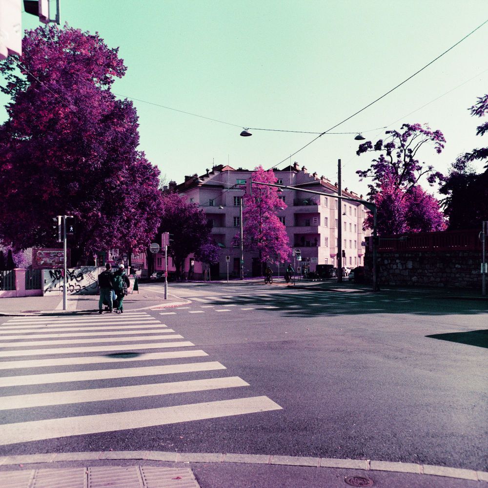 A street crossing