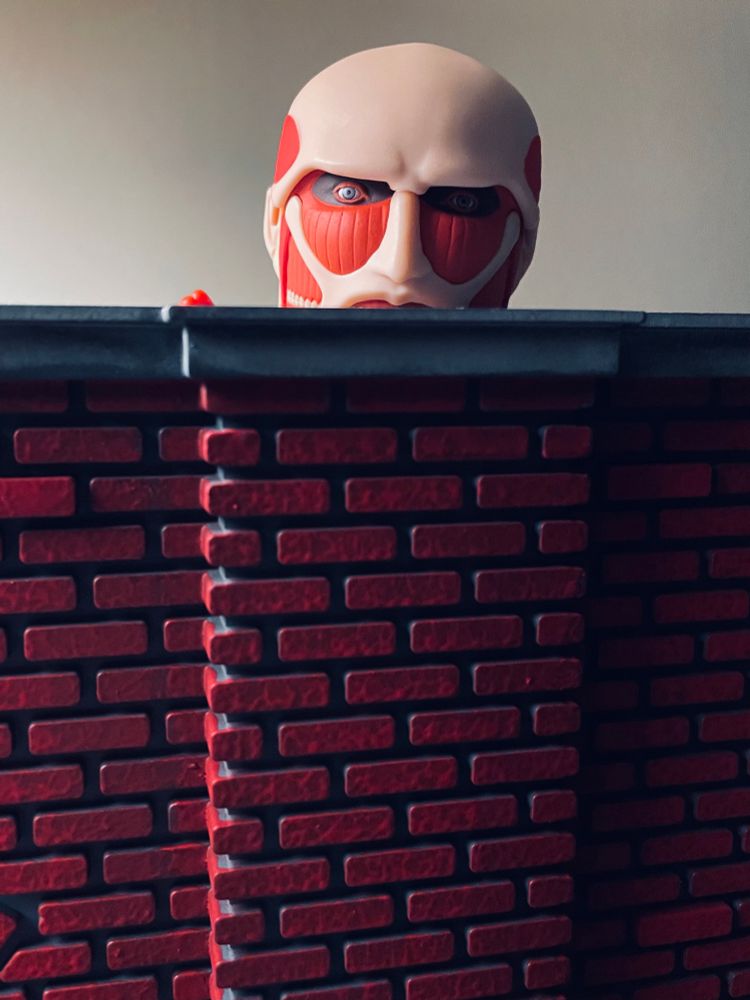 Success! He peeks his dumb head over the wall. Now to kick a hole in it somehow. 