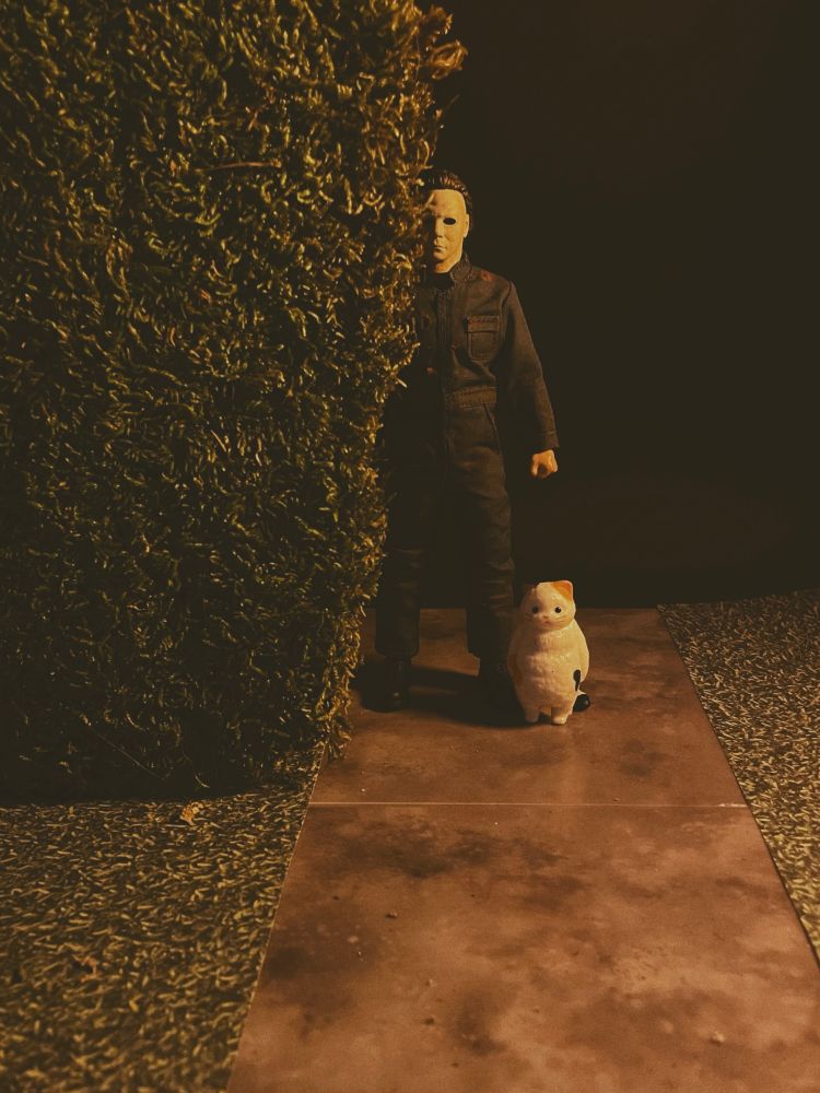 Michael and his new cat peek out from a hedge. 
