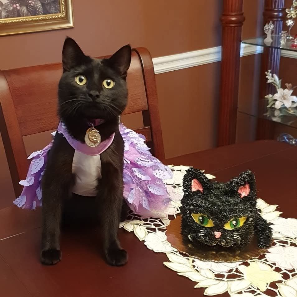 Sesame Seeds 1st birthday