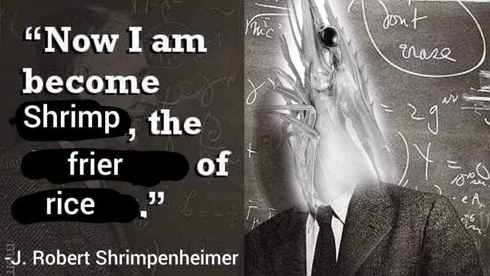 "Now I am become Shrimp, the frier of rice." - J. Robert Shrimpenheimer. 

Image of Oppenheimer with his head replaced with a shrimp lol