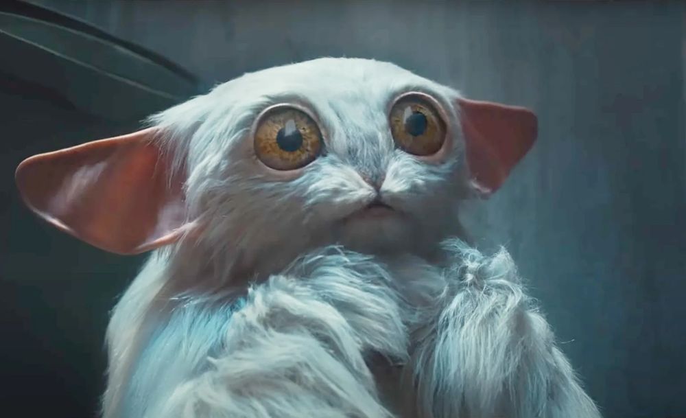 The furry, big-eyed alien Beep the Meep as seen in "The Star Beast" episode of Doctor Who