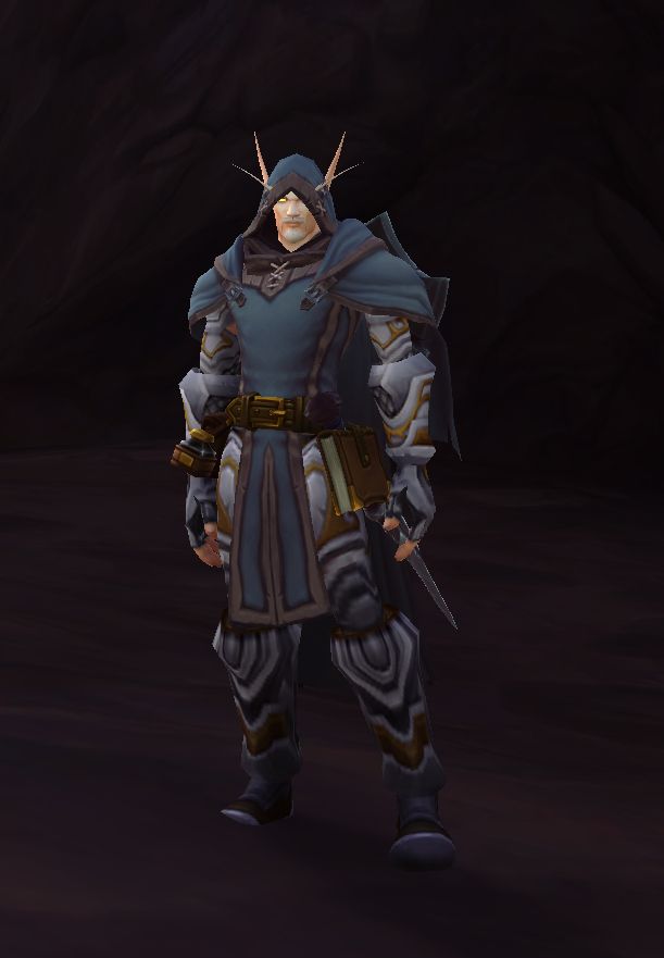 Screenshot Edit from World of Warcraft of a player character, Blood Elf Paladin