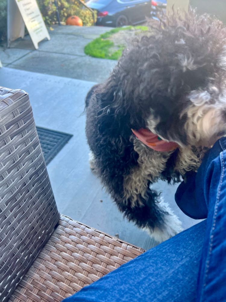 Tackle hugs from Cecelia!