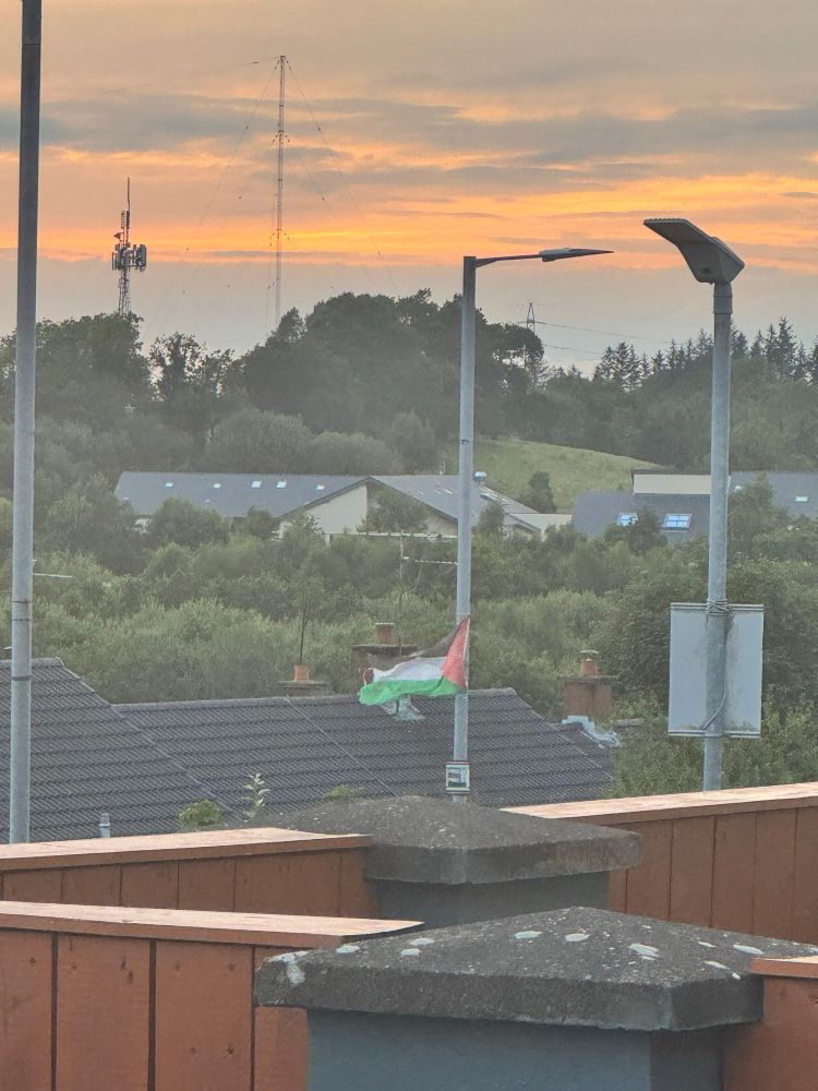 Picture of a Palestine flag in the wild in Enniskillen