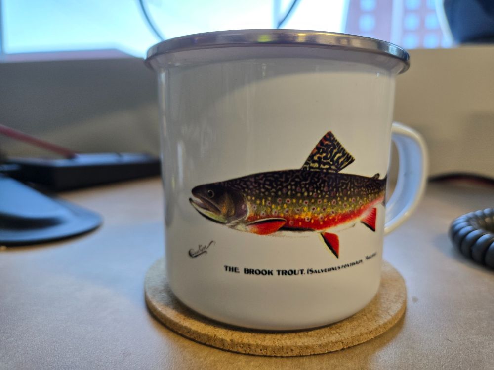 An enameled steel mug with a picture of a brook trout sits on an office desk