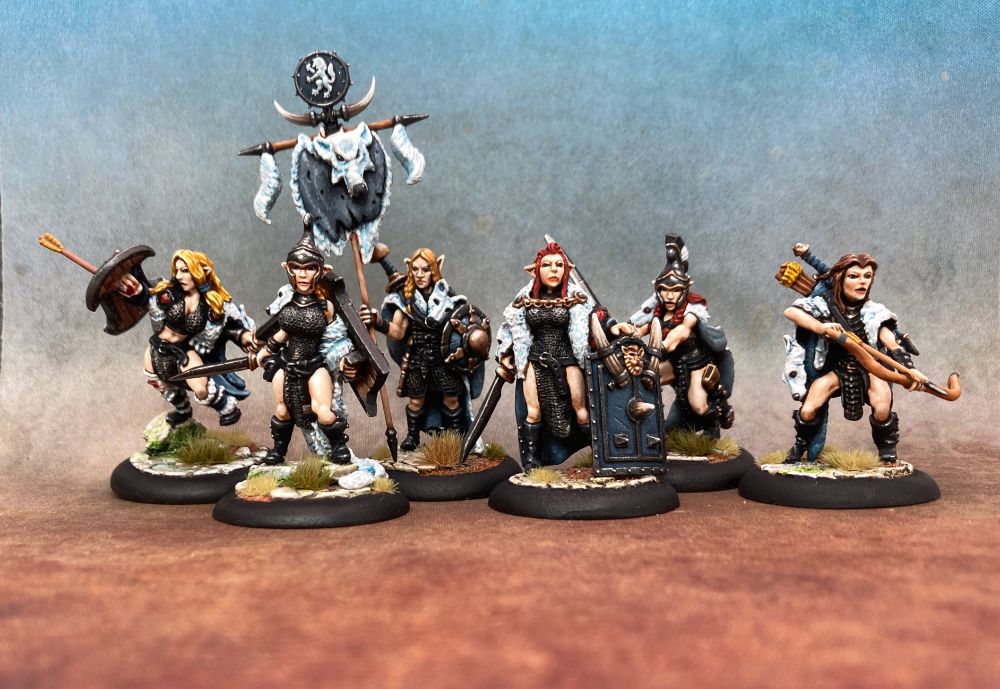 Band of elven warriors all clad in black, all with swords except for one archer. One of them carries a wolf pelt banner.