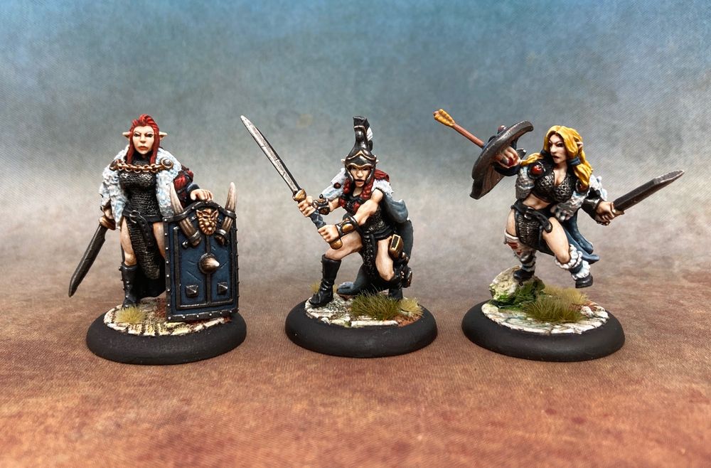 3 fancy, armoured elven warriors, all clad in black armour and wolf cloaks. 2 with shields and swords and one with a double handed sword. 