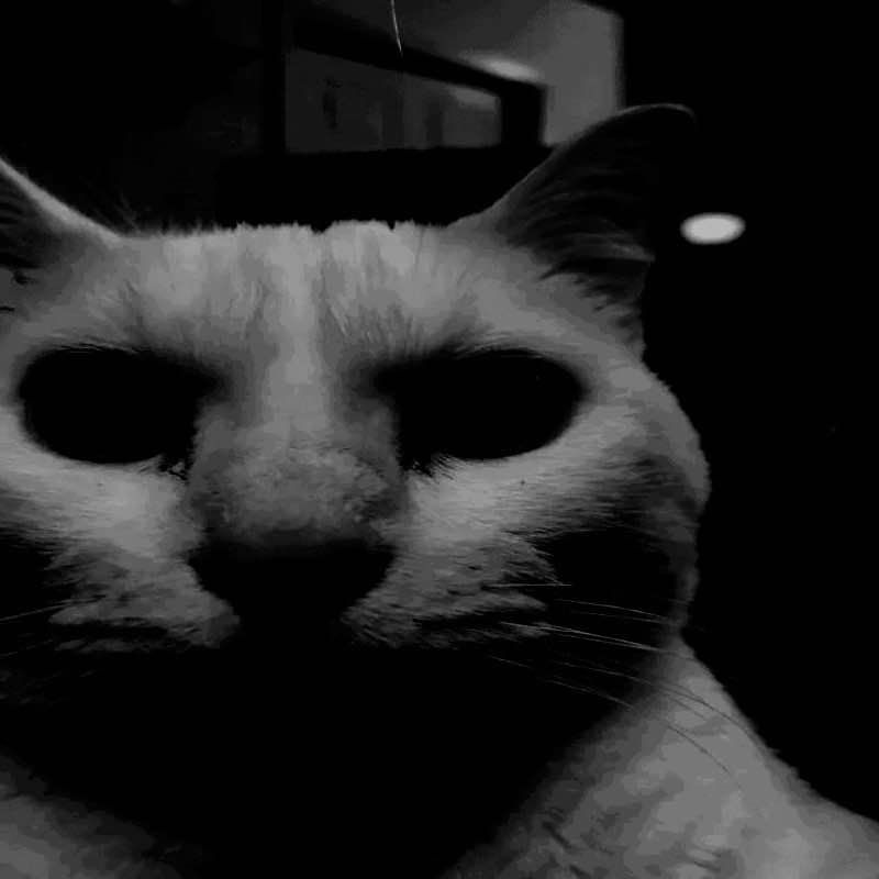 I want to kill myself