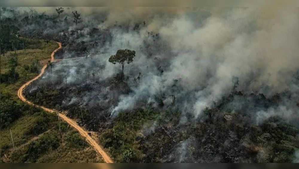 Prefeito de município líder em queimadas tem R$ 9 milhões em multa no Ibama