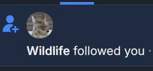Screenshot from Bluesky notifications, with a profile picture of a wolf & the text "Wildlife followed you"